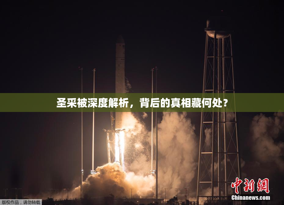 圣采被深度解析，背后的真相藏何处？