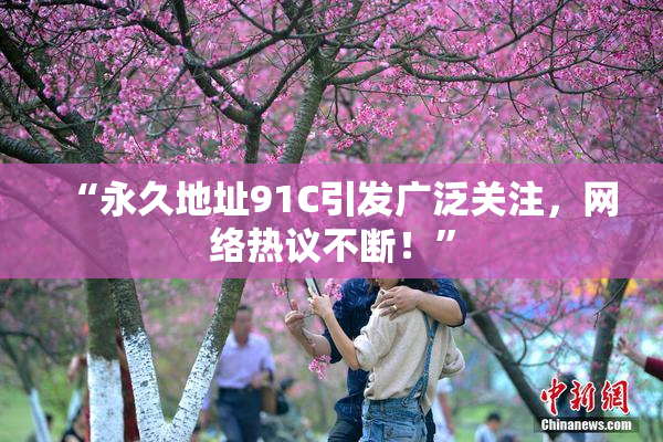“永久地址91C引发广泛关注，网络热议不断！”
