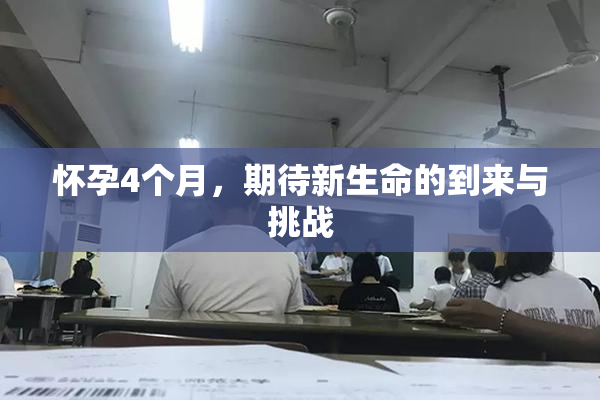 怀孕4个月，期待新生命的到来与挑战