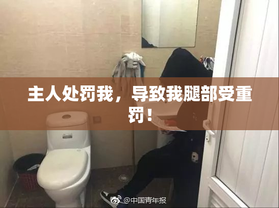 主人处罚我，导致我腿部受重罚！