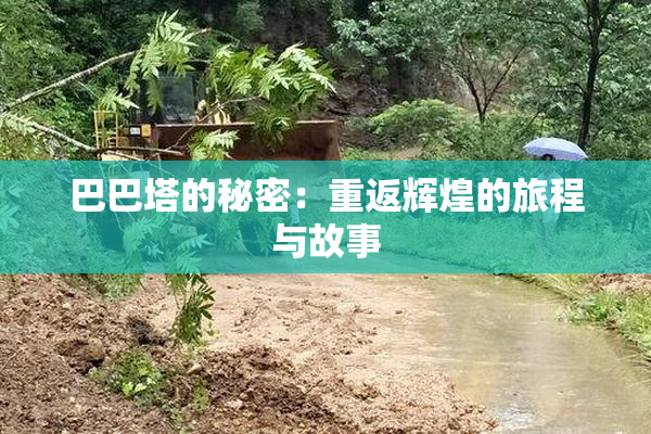 巴巴塔的秘密：重返辉煌的旅程与故事