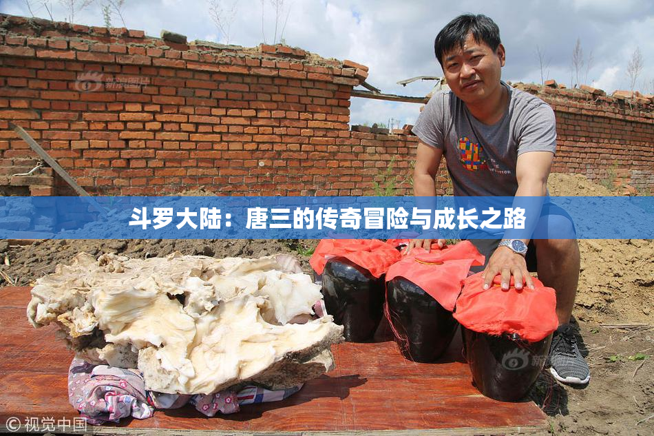 斗罗大陆：唐三的传奇冒险与成长之路