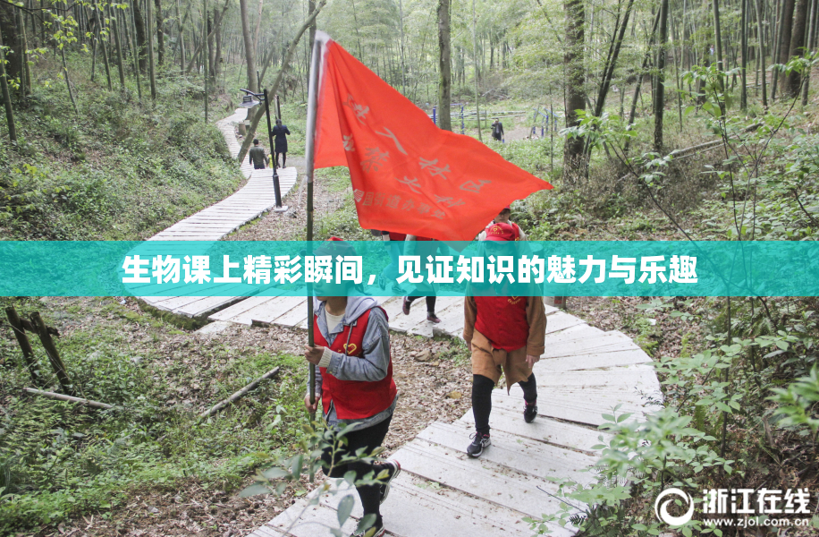 生物课上精彩瞬间，见证知识的魅力与乐趣