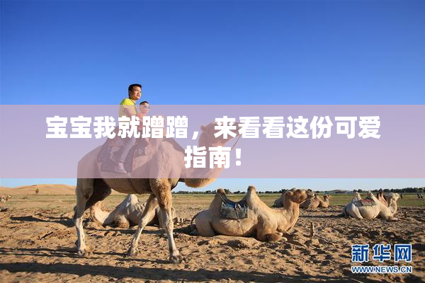宝宝我就蹭蹭，来看看这份可爱指南！
