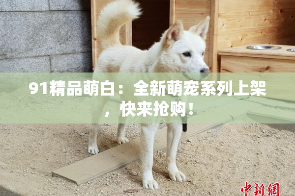 91精品萌白：全新萌宠系列上架，快来抢购！