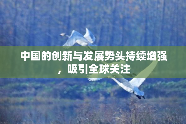 中国的创新与发展势头持续增强，吸引全球关注