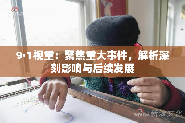9·1视重：聚焦重大事件，解析深刻影响与后续发展