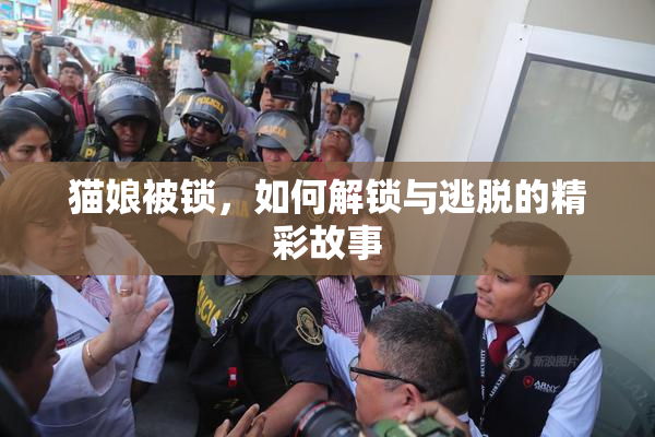 猫娘被锁，如何解锁与逃脱的精彩故事