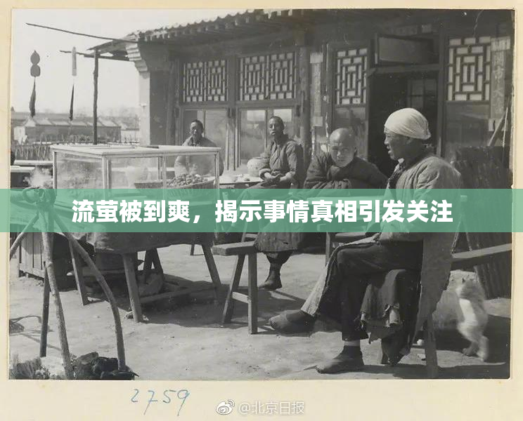 流萤被到爽，揭示事情真相引发关注