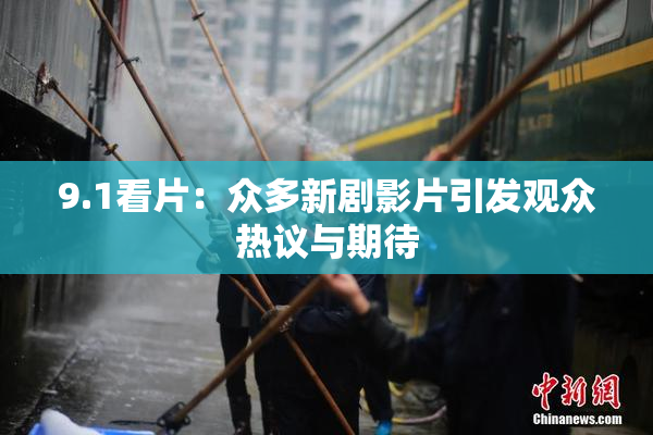 9.1看片：众多新剧影片引发观众热议与期待