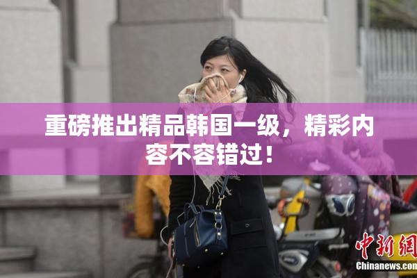 重磅推出精品韩国一级，精彩内容不容错过！