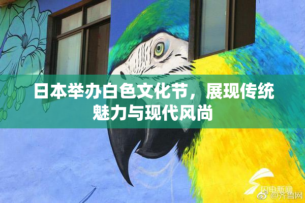 日本举办白色文化节，展现传统魅力与现代风尚