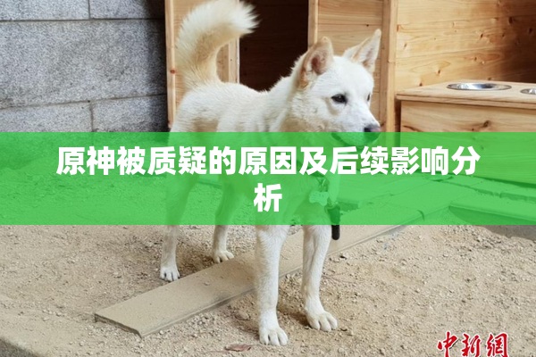 原神被质疑的原因及后续影响分析