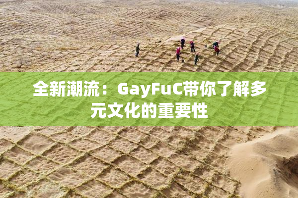 全新潮流：GayFuC带你了解多元文化的重要性