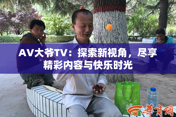 AV大爷TV：探索新视角，尽享精彩内容与快乐时光