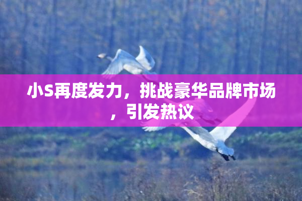 小S再度发力，挑战豪华品牌市场，引发热议