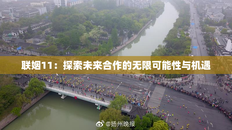 联姻11：探索未来合作的无限可能性与机遇