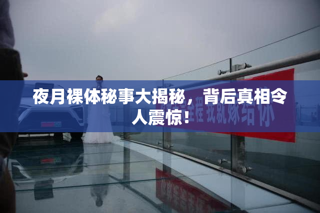夜月裸体秘事大揭秘，背后真相令人震惊！