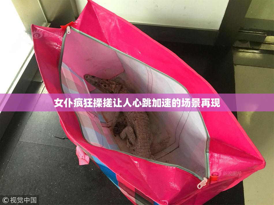 女仆疯狂揉搓让人心跳加速的场景再现