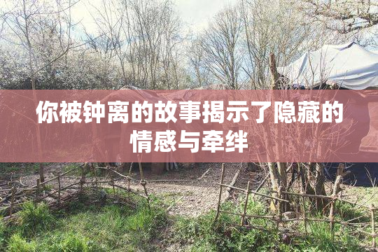 你被钟离的故事揭示了隐藏的情感与牵绊
