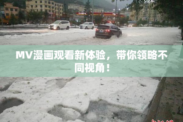 MV漫画观看新体验，带你领略不同视角！
