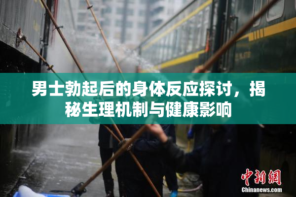 男士勃起后的身体反应探讨，揭秘生理机制与健康影响