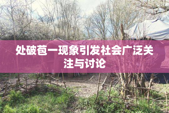处破苞一现象引发社会广泛关注与讨论