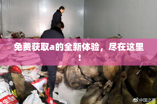 免费获取a的全新体验，尽在这里！