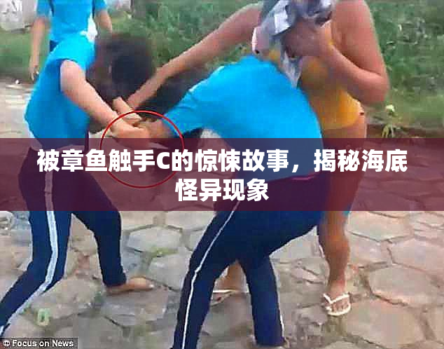 被章鱼触手C的惊悚故事，揭秘海底怪异现象