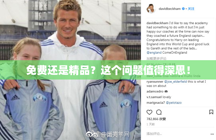 免费还是精品？这个问题值得深思！