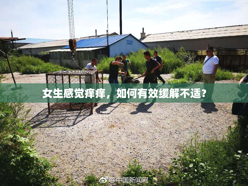 女生感觉痒痒，如何有效缓解不适？