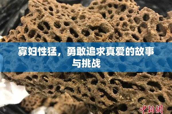 寡妇性猛，勇敢追求真爱的故事与挑战