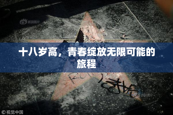 十八岁高，青春绽放无限可能的旅程