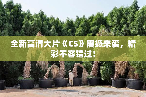 全新高清大片《CS》震撼来袭，精彩不容错过！