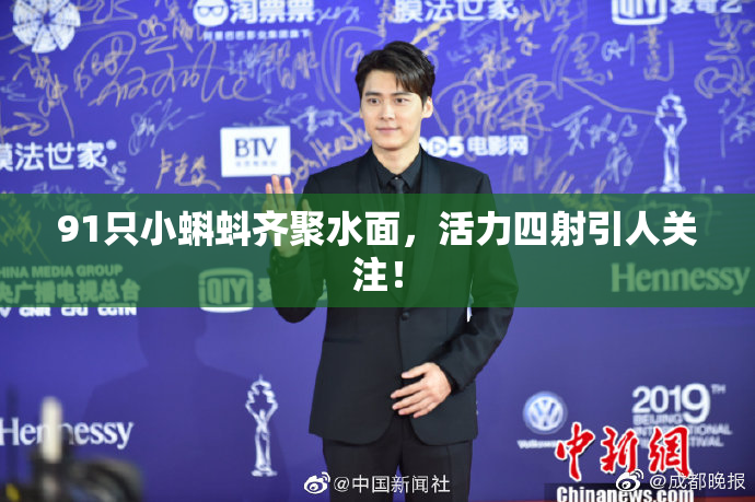91只小蝌蚪齐聚水面，活力四射引人关注！