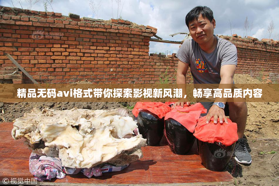 精品无码avi格式带你探索影视新风潮，畅享高品质内容