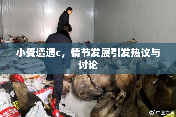 小受遭遇c，情节发展引发热议与讨论