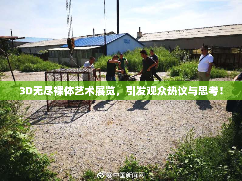 3D无尽裸体艺术展览，引发观众热议与思考！