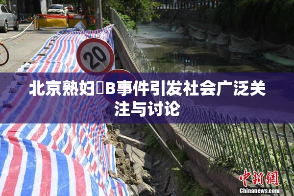 北京熟妇槡B事件引发社会广泛关注与讨论
