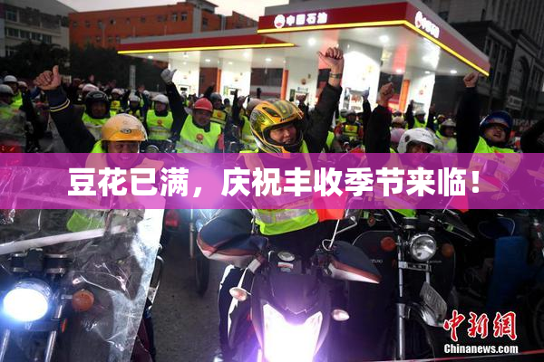 豆花已满，庆祝丰收季节来临！