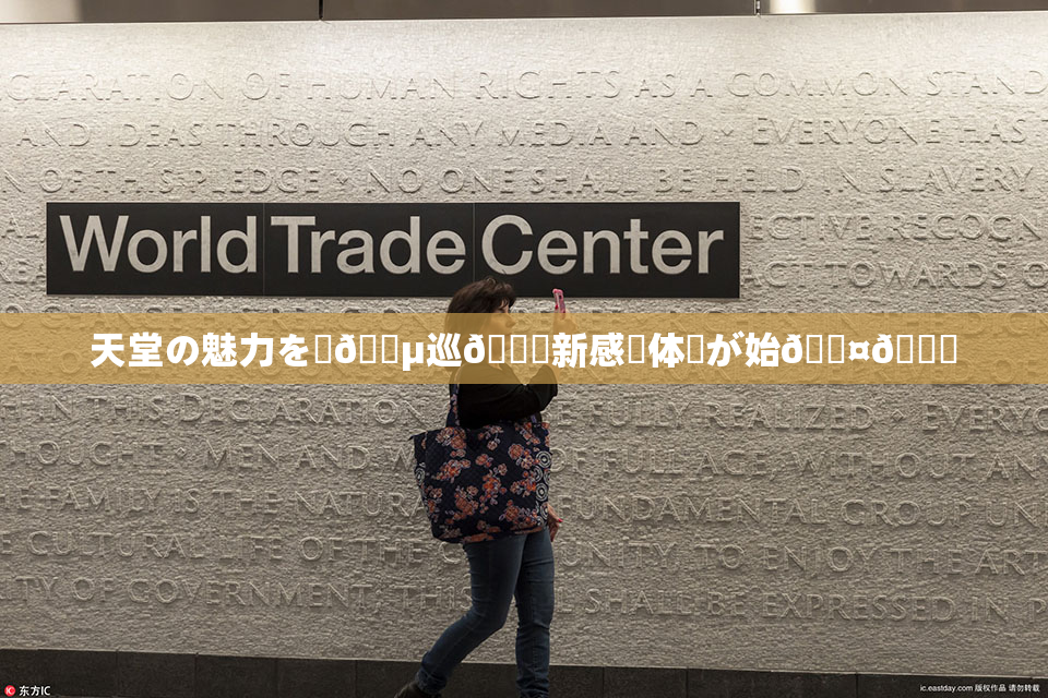 天堂の魅力を駆🈵巡🌃新感覚体験が始🖤🌃