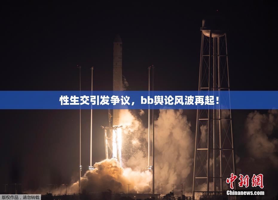 性生交引发争议，bb舆论风波再起！