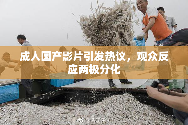 成人国产影片引发热议，观众反应两极分化