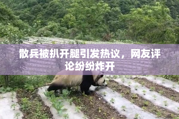 散兵被扒开腿引发热议，网友评论纷纷炸开