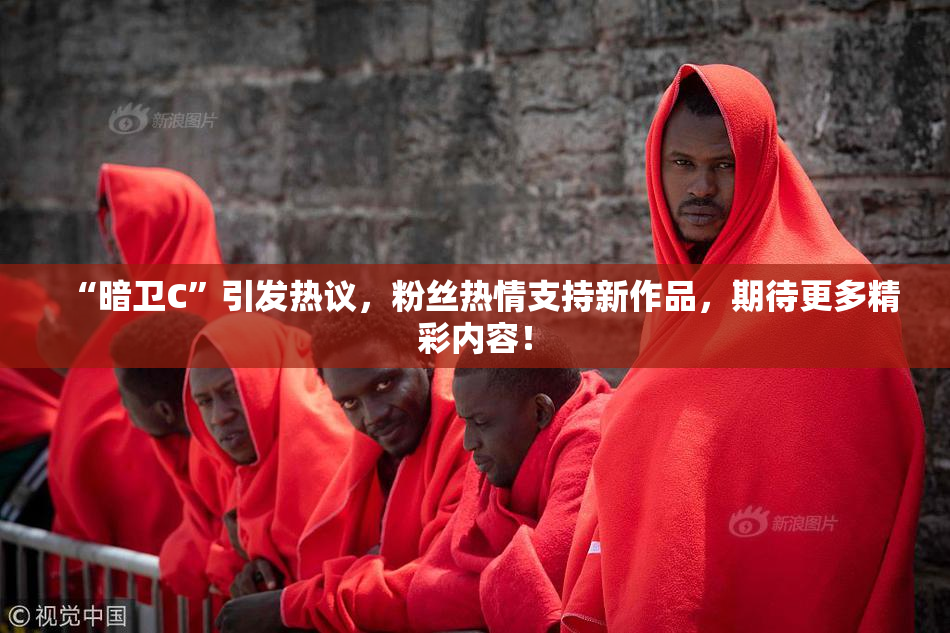 “暗卫C”引发热议，粉丝热情支持新作品，期待更多精彩内容！
