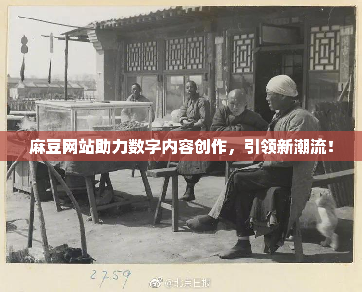 麻豆网站助力数字内容创作，引领新潮流！