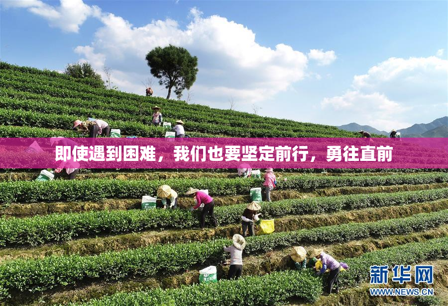 即使遇到困难，我们也要坚定前行，勇往直前
