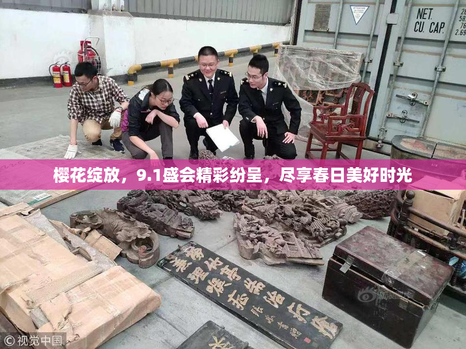 樱花绽放，9.1盛会精彩纷呈，尽享春日美好时光