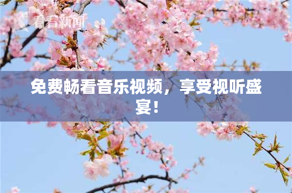 免费畅看音乐视频，享受视听盛宴！