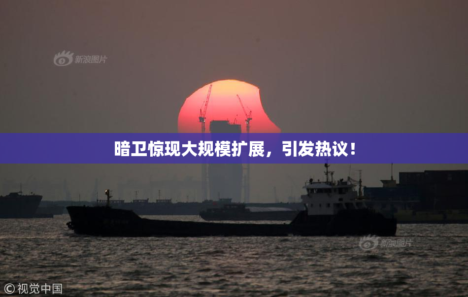 暗卫惊现大规模扩展，引发热议！